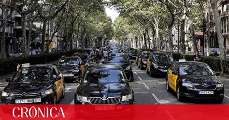 Foment Del Treball Pide Al Taxi Que Se Adapte A Los Nuevos Tiempos