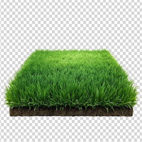Premium Psd A Green Field On Transparent Background