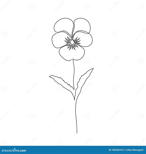 Violet Flower Drawing Vector Hand Drawn Floral Bouquet Viola Nature