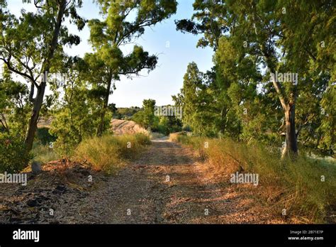 Campagna Siciliana Country In Sicily Stock Photo Alamy