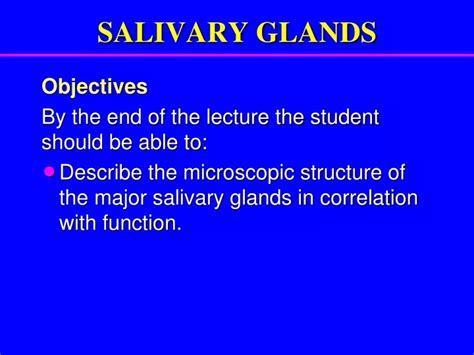 Ppt Salivary Glands Powerpoint Presentation Free Download Id9293051