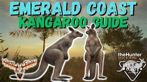 Emerald Coast Kangaroo Guide The Hunter Call Of The Wild Youtube