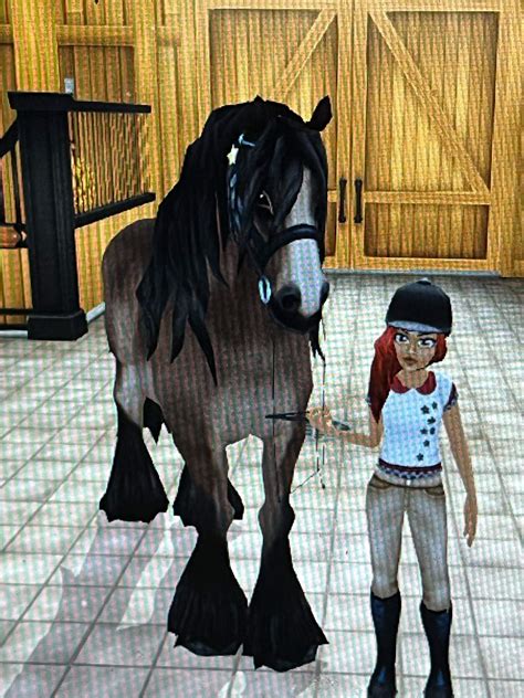 Athena Star Stable Online Amino