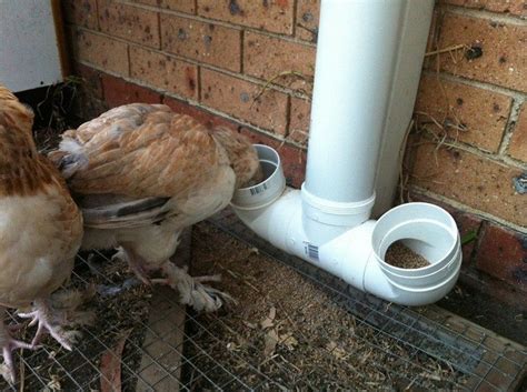 6 Easy To Make Chicken Feeder Ideas The Owner Builder Network