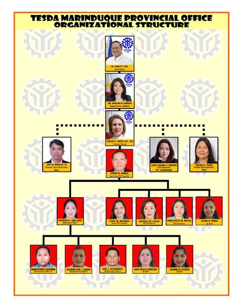 Organizational Structure Tesda Mimaropa