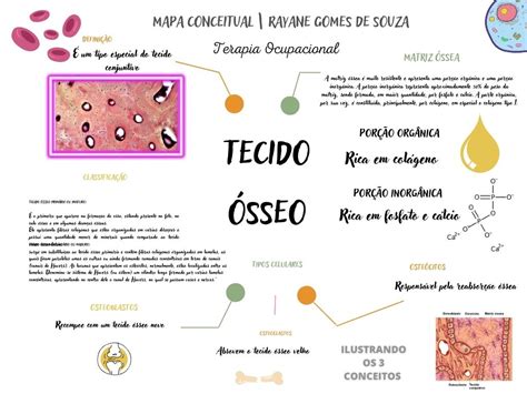 Mapa Mental Tecido Osseo BRAINCP