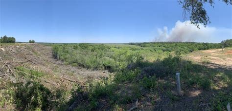 Artillery Impact Area And Wildfire At Fort Stewart Georgia R