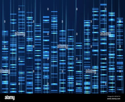 Visualizaci N De Datos Gen Micos Secuencia Del Genoma Del Adn Mapa