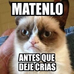 Meme Grumpy Cat Matenlo Antes Que Deje Crias 3072916