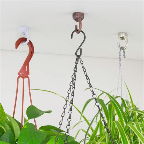 7 Images Ceiling Hooks For Hanging Plants And View - Alqu Blog