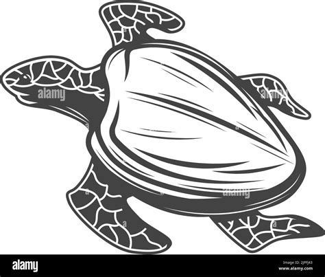 Turtle Underwater Marine Animal Isolated Nautical Tortoise Vector Sea