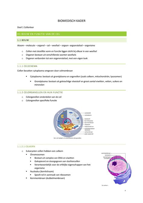 Samenvatting Deel 1 Celleer 2021 2022 KDG Biomedisch Kader KdG