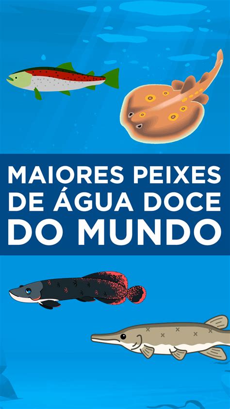 Top Maiores Peixes De Gua Doce Do Mundo Blog Do Pescador