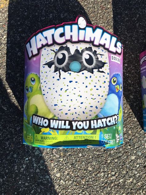 Special New Hatchimals Hatching Egg Draggle Hatchimal Blue Green Hard To Find 1837051546