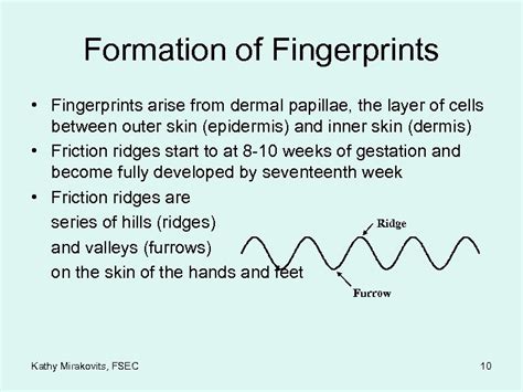 Impression Evidence Fingerprints Kathy Mirakovits Forensic Science Educational