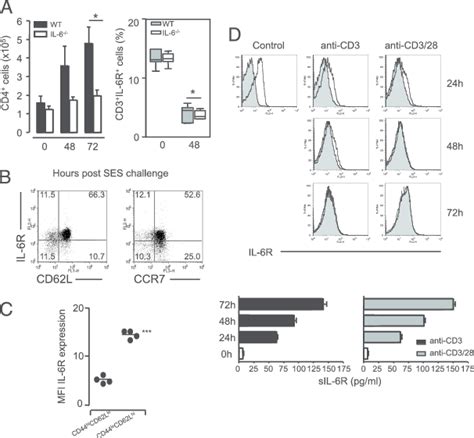 Inflammatory Regulation Of Il 6r Expression During Experimental