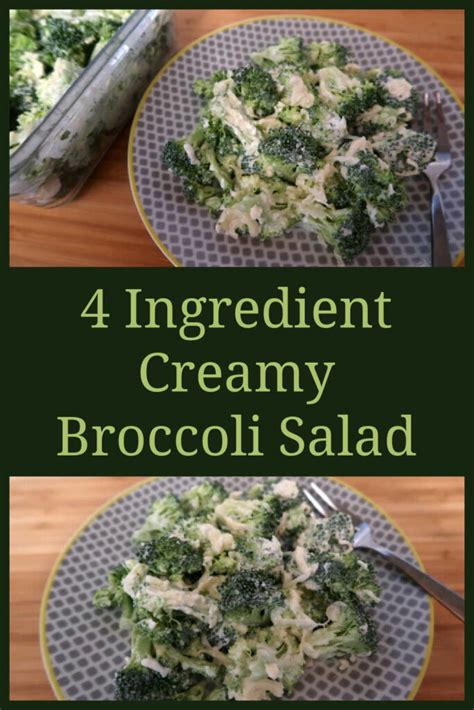 Creamy Broccoli Salad Recipe Best Ever Easy 4 Ingredient Salad Idea