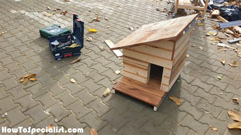 How To Build A Cat House With Insulation Howtospecialist How To