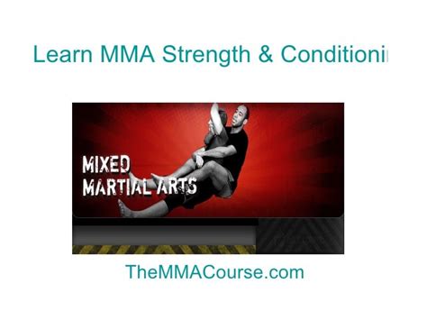 mma techniques for beginners