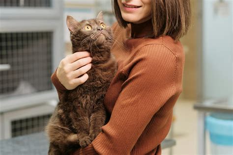 Mercy Veterinary Hospital