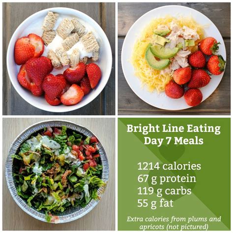 Bright Line Eating Printables