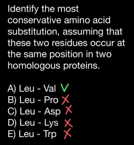 Ch6 Bioinformatics Flashcards Quizlet