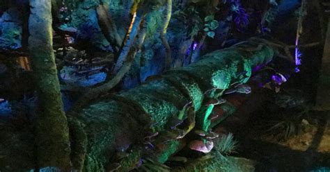 10 Insane Details in the Avatar Flight of Passage Queue - Parkeology