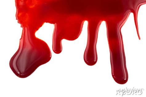 Dripping Blood Isolated On White Background Flowing Red Blood Posters