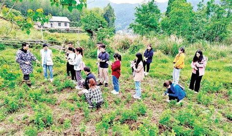 昼耕夜读体验农耕文化 大学把研究生课堂搬到田间发展种植农业