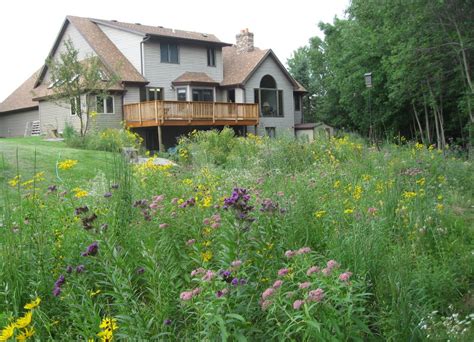 August Is National Water Quality Month Accent On Natural Landscaping