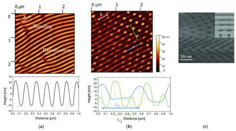 Afm Height Amplitude Images And Cross Section Profiles Along The