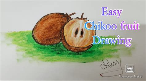 How To Draw Easy Chikoo Fruit Step By Step How To Colour Very Easy Step By Step Youtube