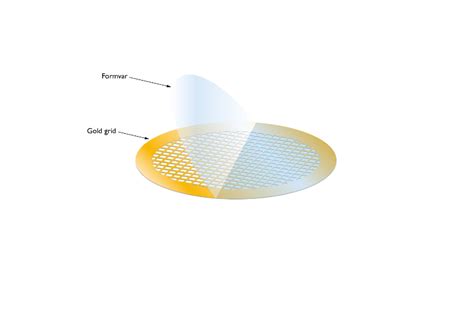 Formvar Films On Gold Tem Grids Ags138a Formvar Films On Nickel Tem