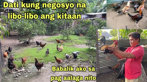 Libo Libo Ang Kinita Ko Sa Manok Nato Nagtanim Tayo Ng Pagkain Para