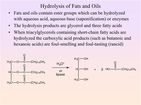 Ppt Lipids Powerpoint Presentation Free Download Id745195