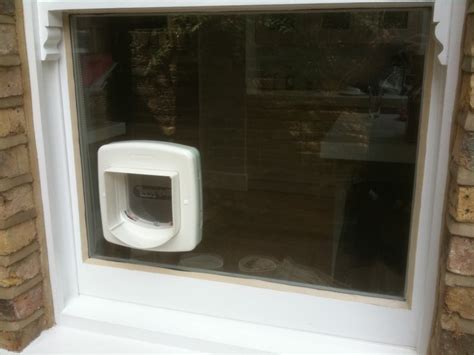 Cat Flaps Fitted In Glass In South West London