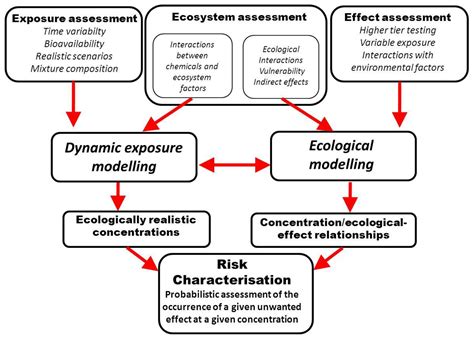 Toxics Free Full Text Ecotoxicology The Challenges For The 21st