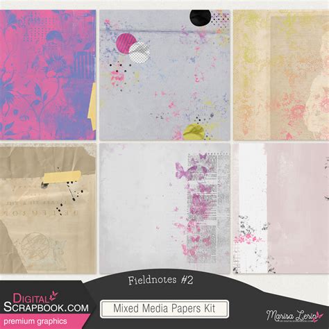 Fieldnotes 2 Mixed Media Papers Kit By Marisa Lerin Graphics Kit