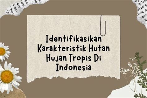 Identifikasikan Karakteristik Hutan Hujan Tropis Di Indonesia Info