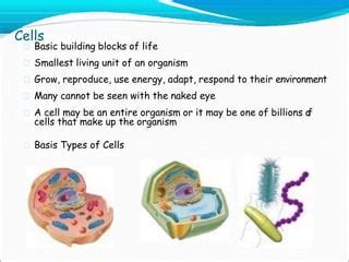 Introduction To Biochemistry Pptx