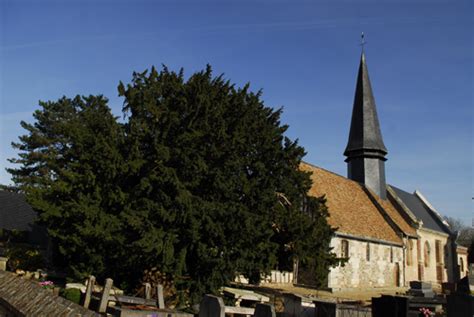 Histoire Et Patrimoine De Gouy Seine Maritime Annuaire Historique