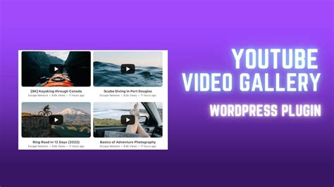 How To Use Youtube Video Gallery Wordpress Plugin Easy Wordpress