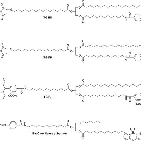 (PDF) Synthesis and evaluation of fluorogenic triglycerides as lipase ...