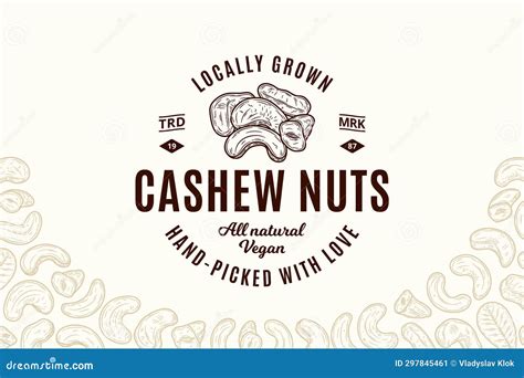 Vector Cashew Logo Stock Vector Illustration Of Outline 297845461