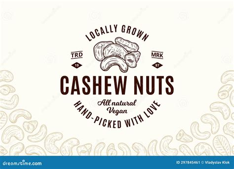 Vector Cashew Logo Stock Vector Illustration Of Outline