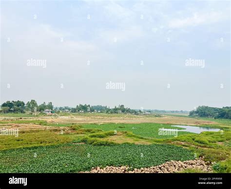 Scenic view of rural area of Bangladesh Stock Photo - Alamy