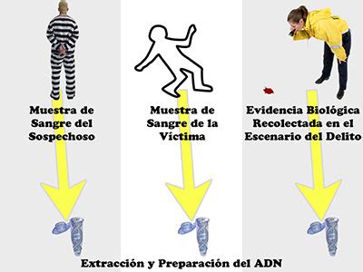 Capacitación sobre ADN forense