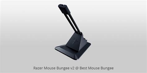 Best Mouse Bungees That Are On Sale In