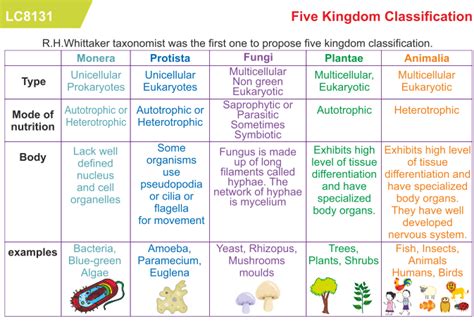 Kingdom Biology Classification