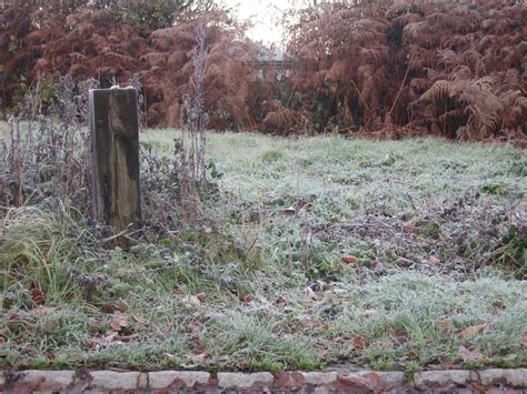 The Other Side Of The Shelf First Frost